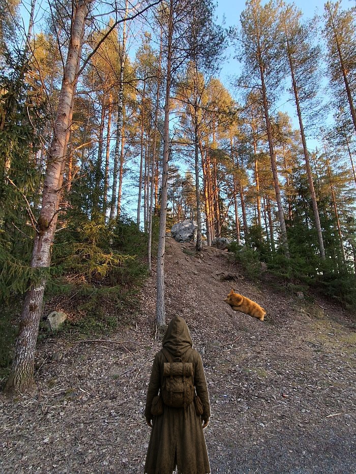 2.ylos-kivi