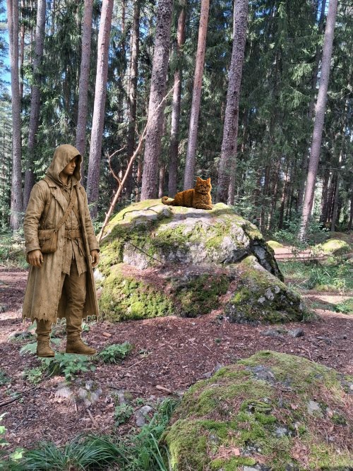 isokivi